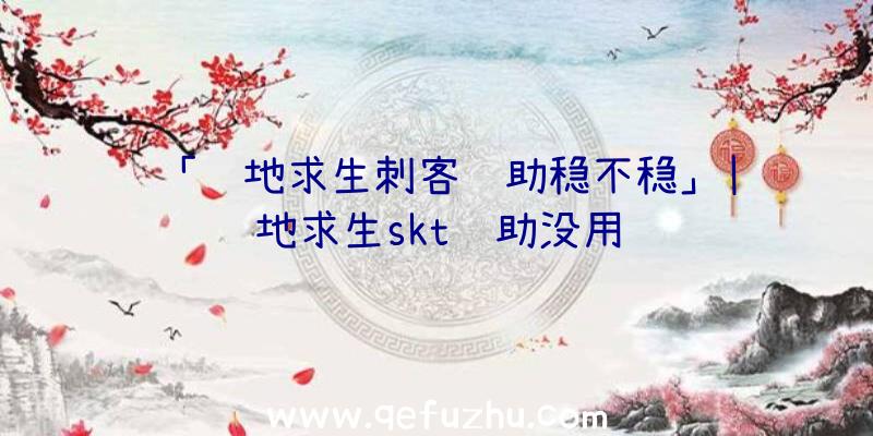 「绝地求生刺客辅助稳不稳」|绝地求生skt辅助没用